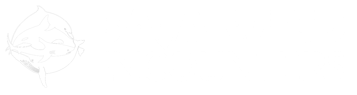 Baja Wild Encounters logo