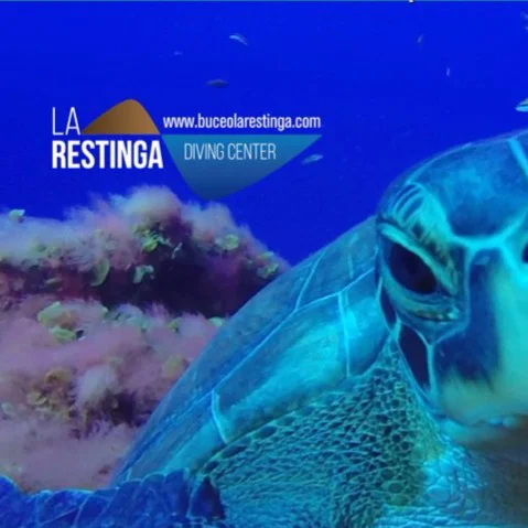 BUCEO LA RESTINGA logo