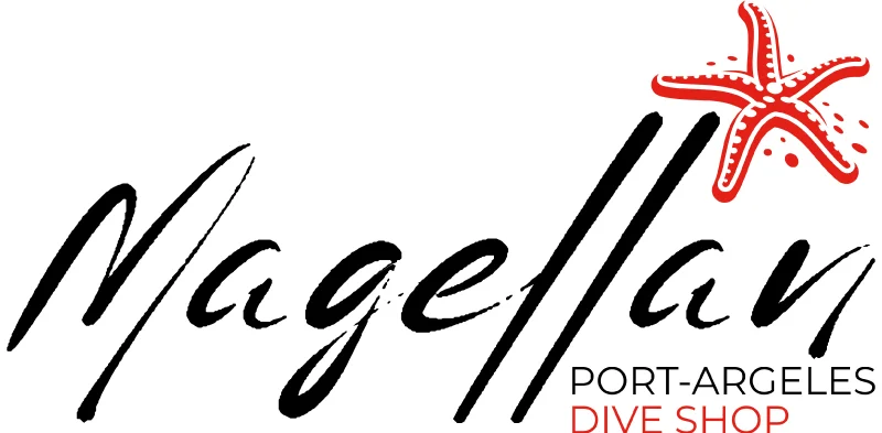 Magellan logo