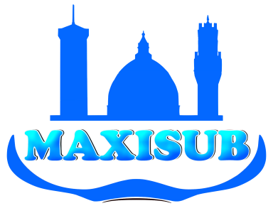 Maxisub logo