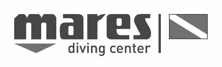 Undersea Adventures logo