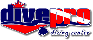 DIVEPRO DIVING CENTER logo