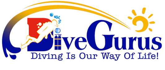 DiveGurus Diving Services Corp. logo
