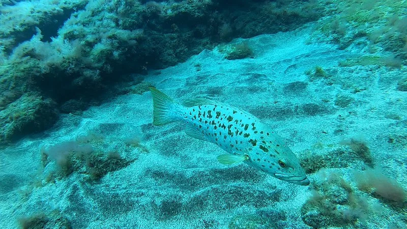 Foto 3