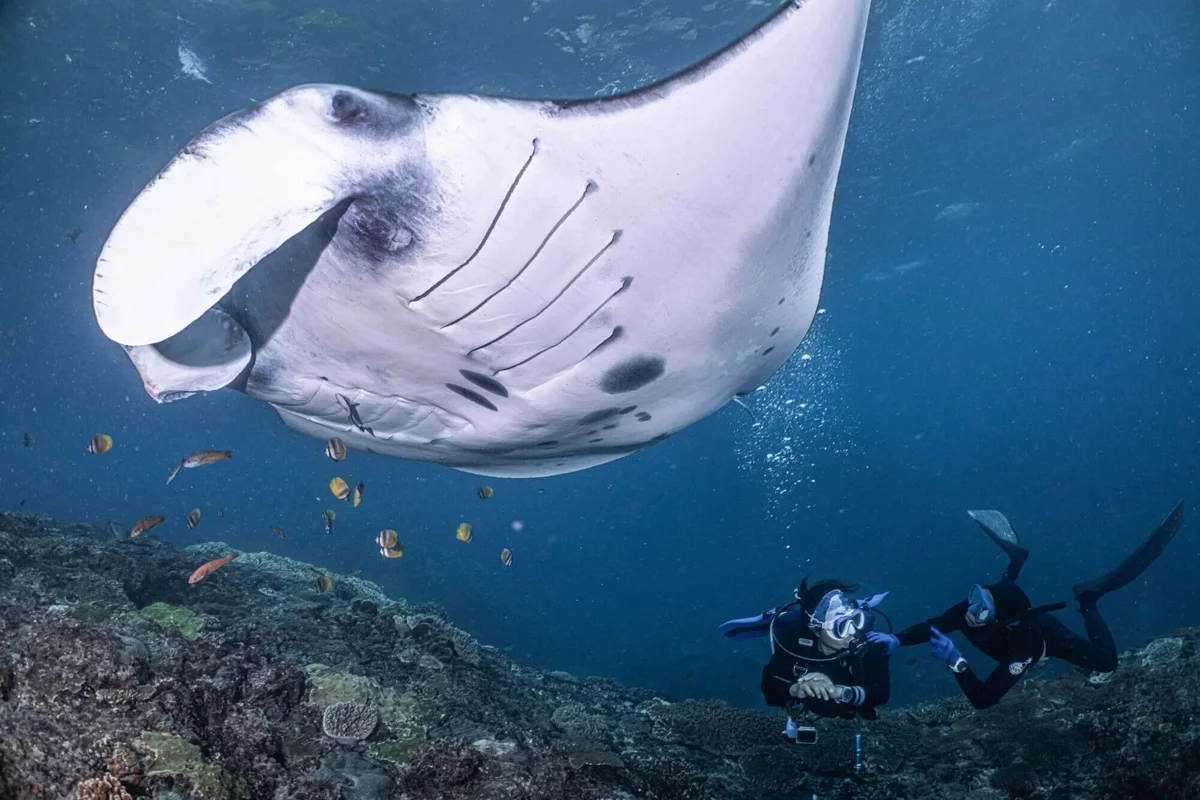 Basic Diver Course