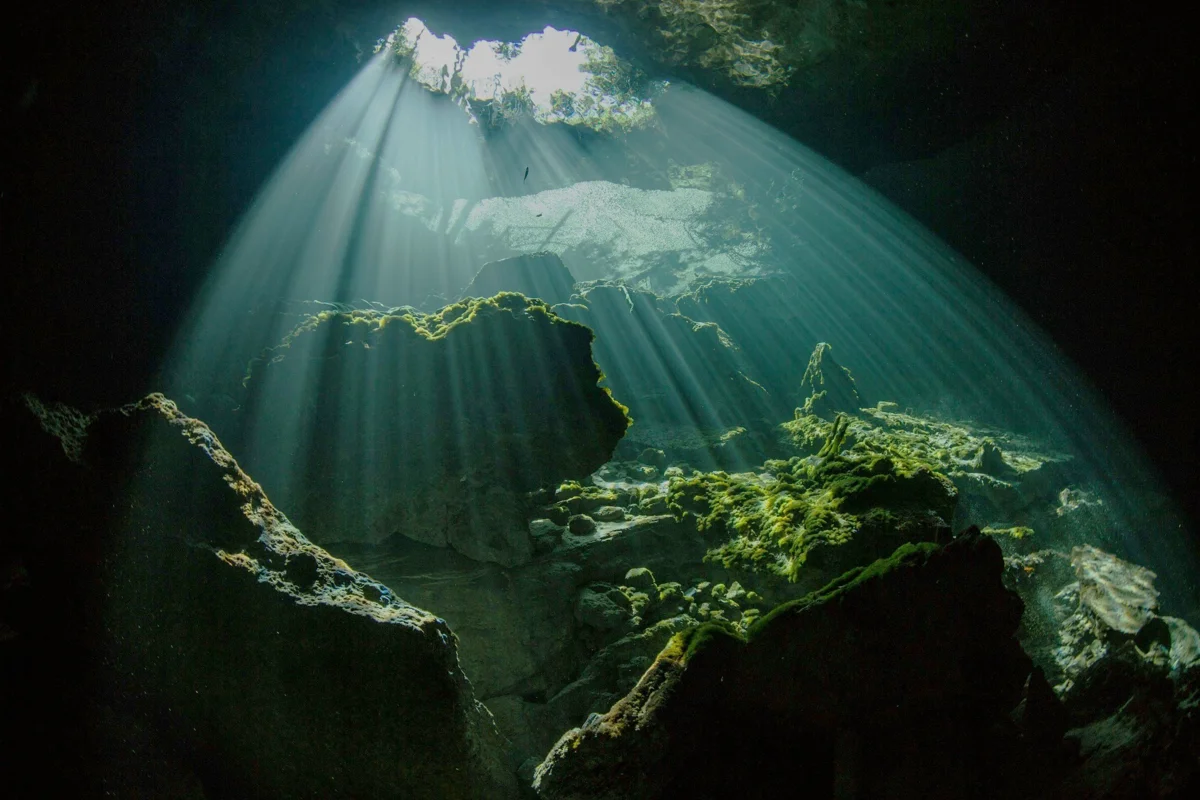 Try Scuba Diving