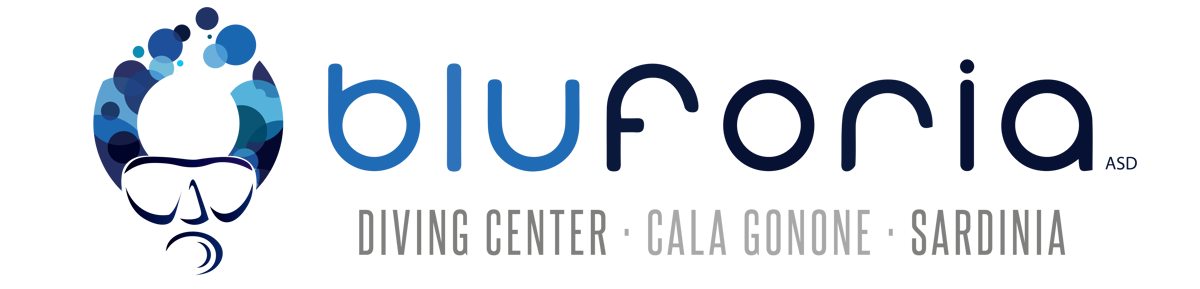 Bluforia logo