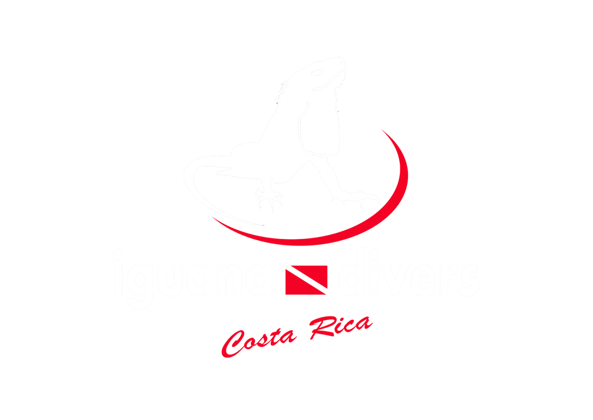 Iguana Divers logo