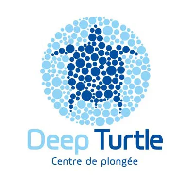 Deep Turtle logo