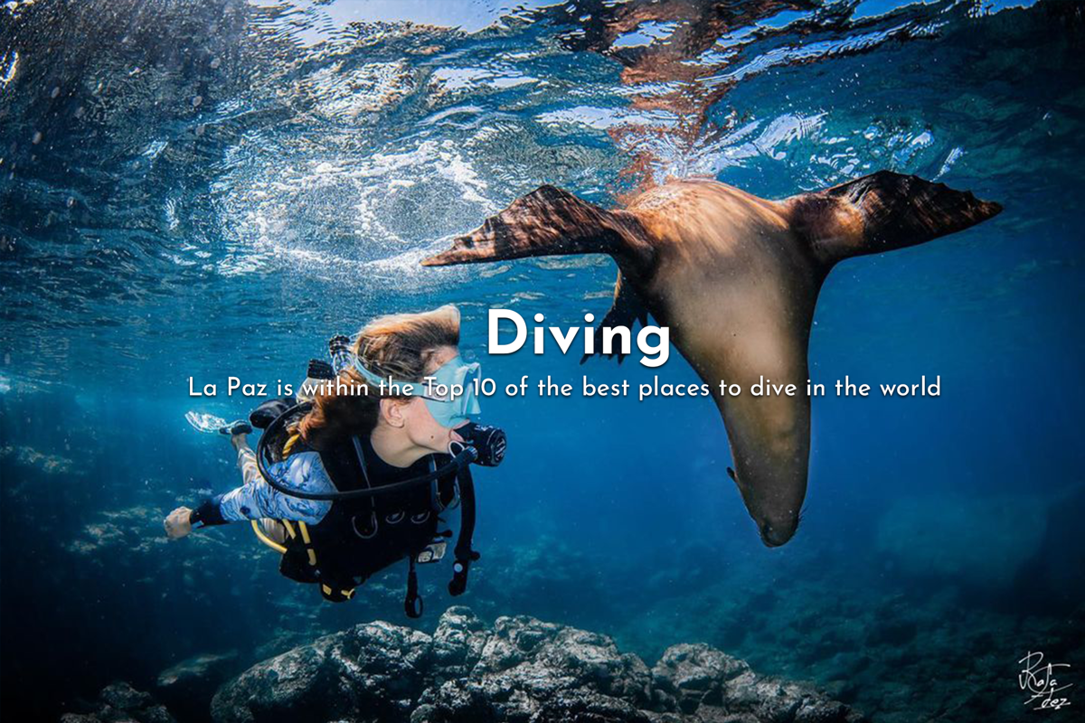Buceo Carey