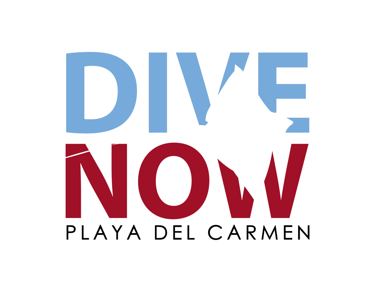 Bull Shark Dive (Seasonal)