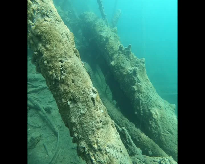 Gerda's Dive Shop | Tauchkurse Tauchbedarf & Tauchveranstaltungen | München