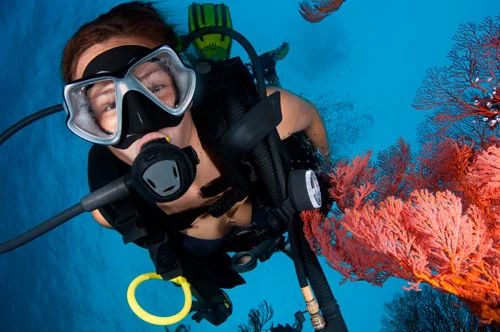 Bad Fish buceo