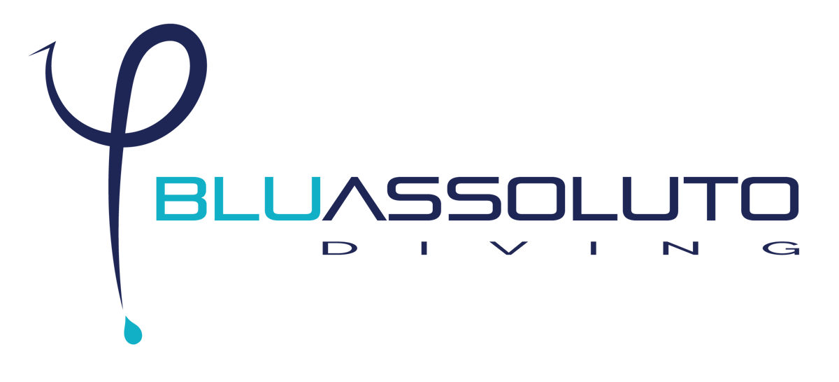 Bluassoluto diving logo