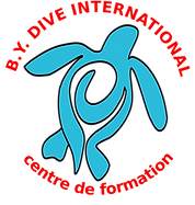B.Y. Dive International logo