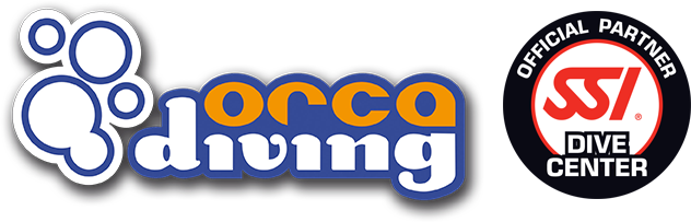 Orca Diving Center logo