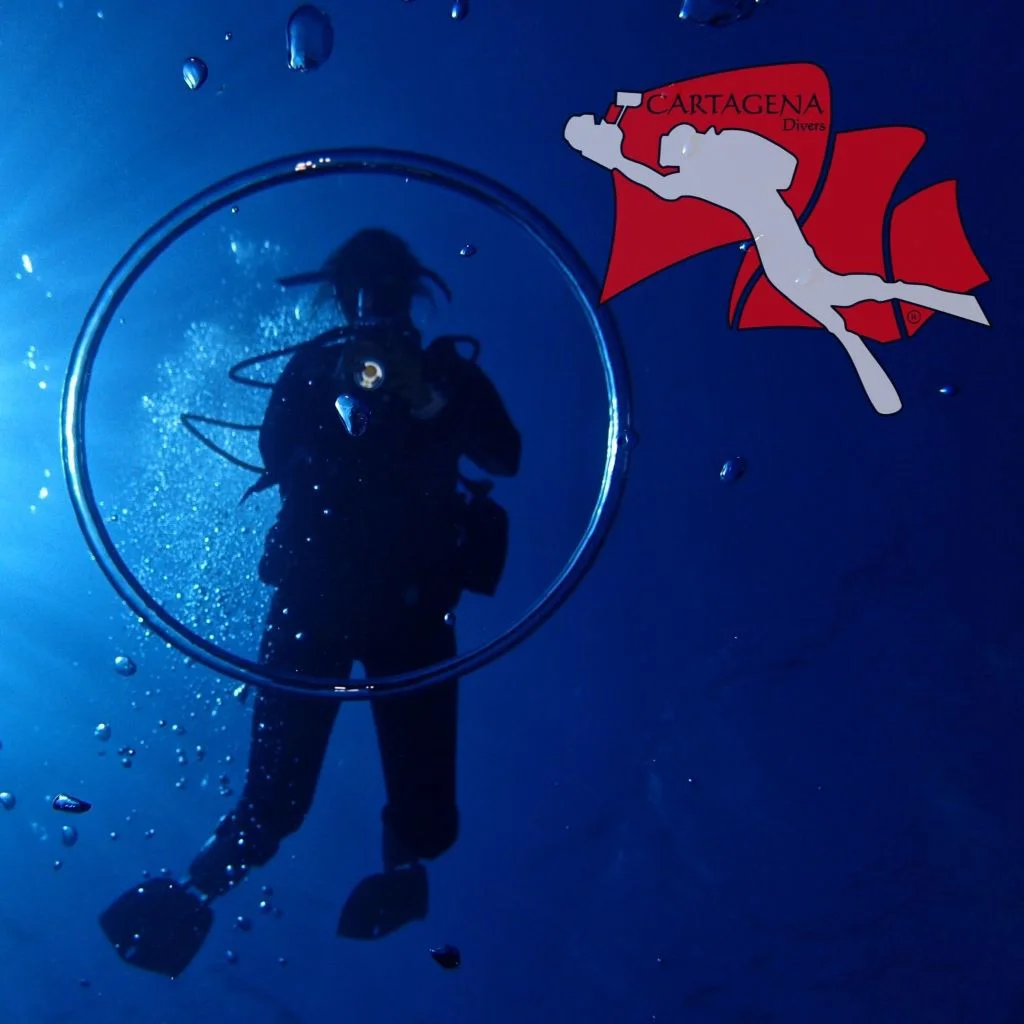 Cartagena Divers Centro De Buceo PADI 5 Estrellas logo
