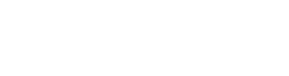 Blue Ocean Divers logo