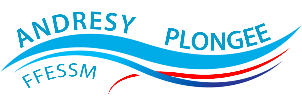 ANDRESY PLONGEE logo