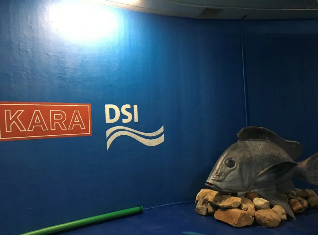 Foto 12