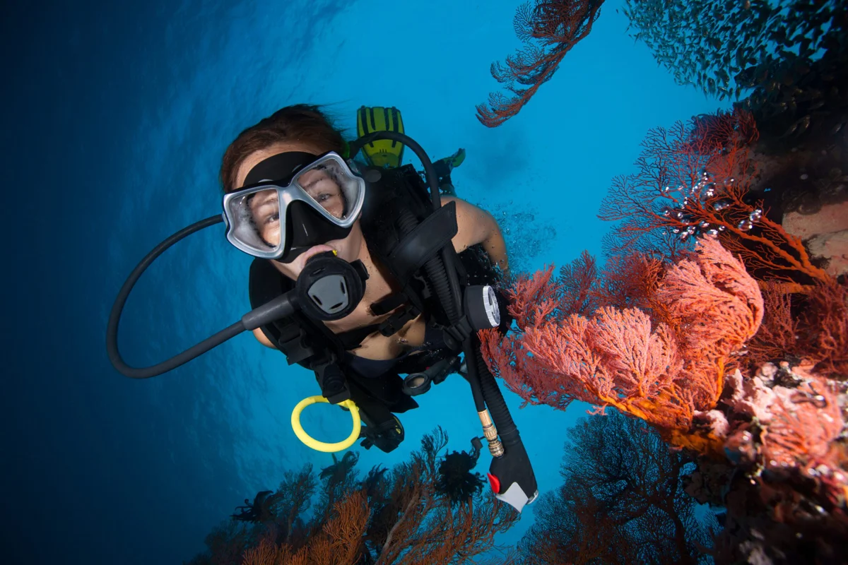 Referral Open Water Diver Ssi