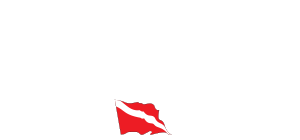 Dive in la Paz logo