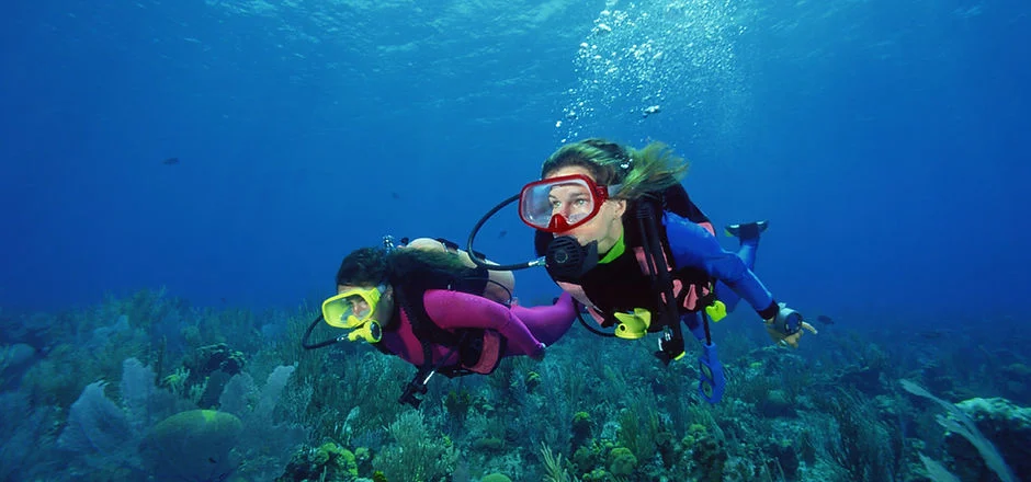 Shark Scuba Servicing LTD