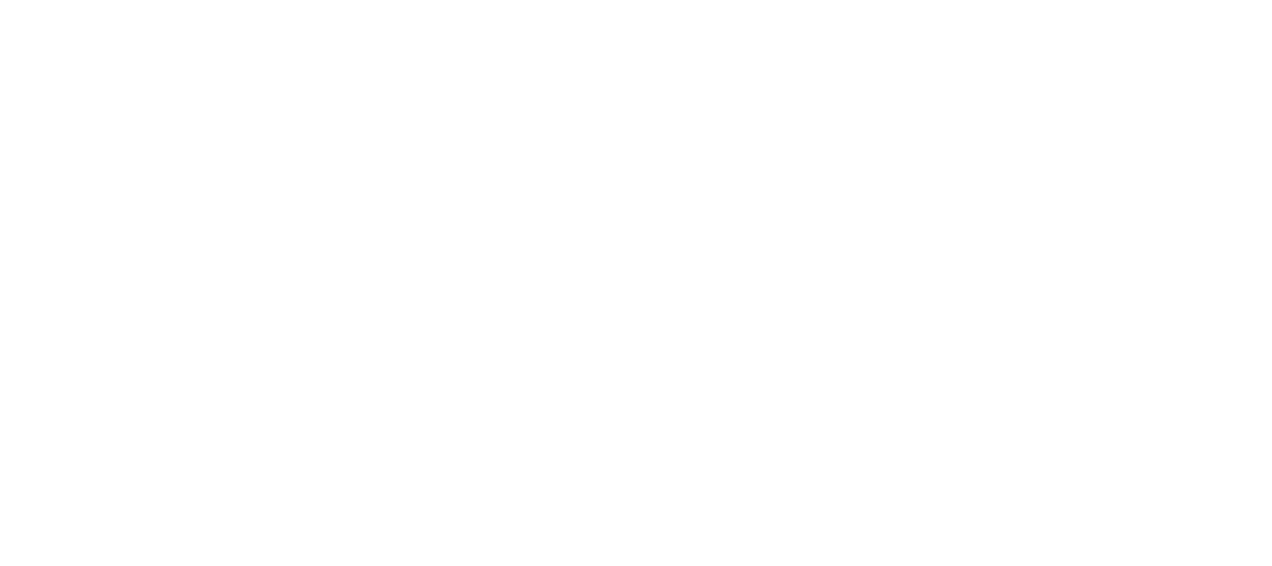 Big Blue Diving Club logo