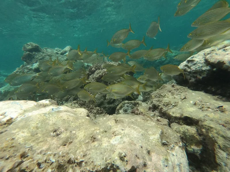 Snorkel Cabo de Gata