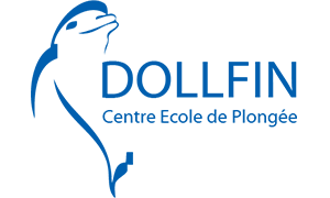 Dollfin logo