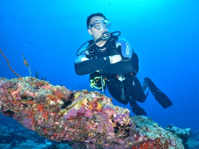 Foto 4