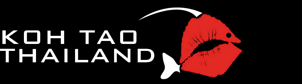French Kiss Divers Malapascua logo