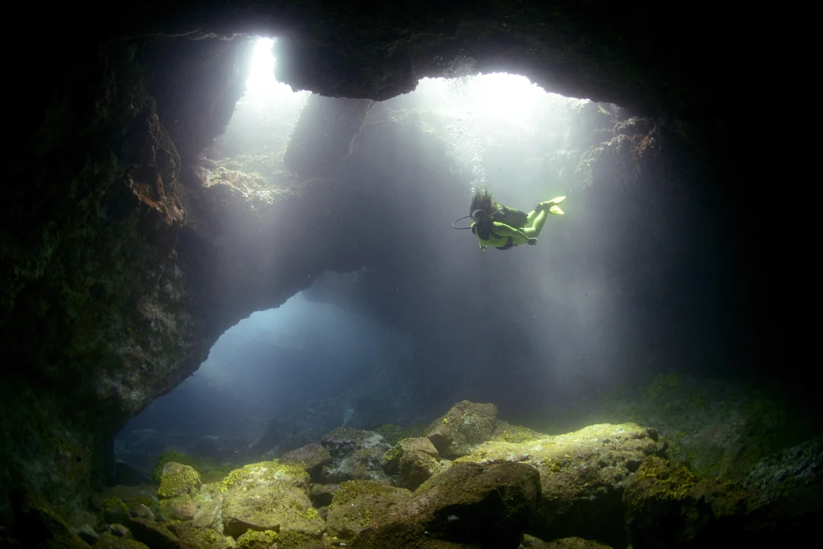 BUCEO CANARIAS BY MEDUSA