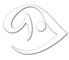 Bali Diversity logo
