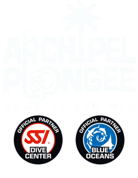 ARCHIPEL PLONGÉE logo