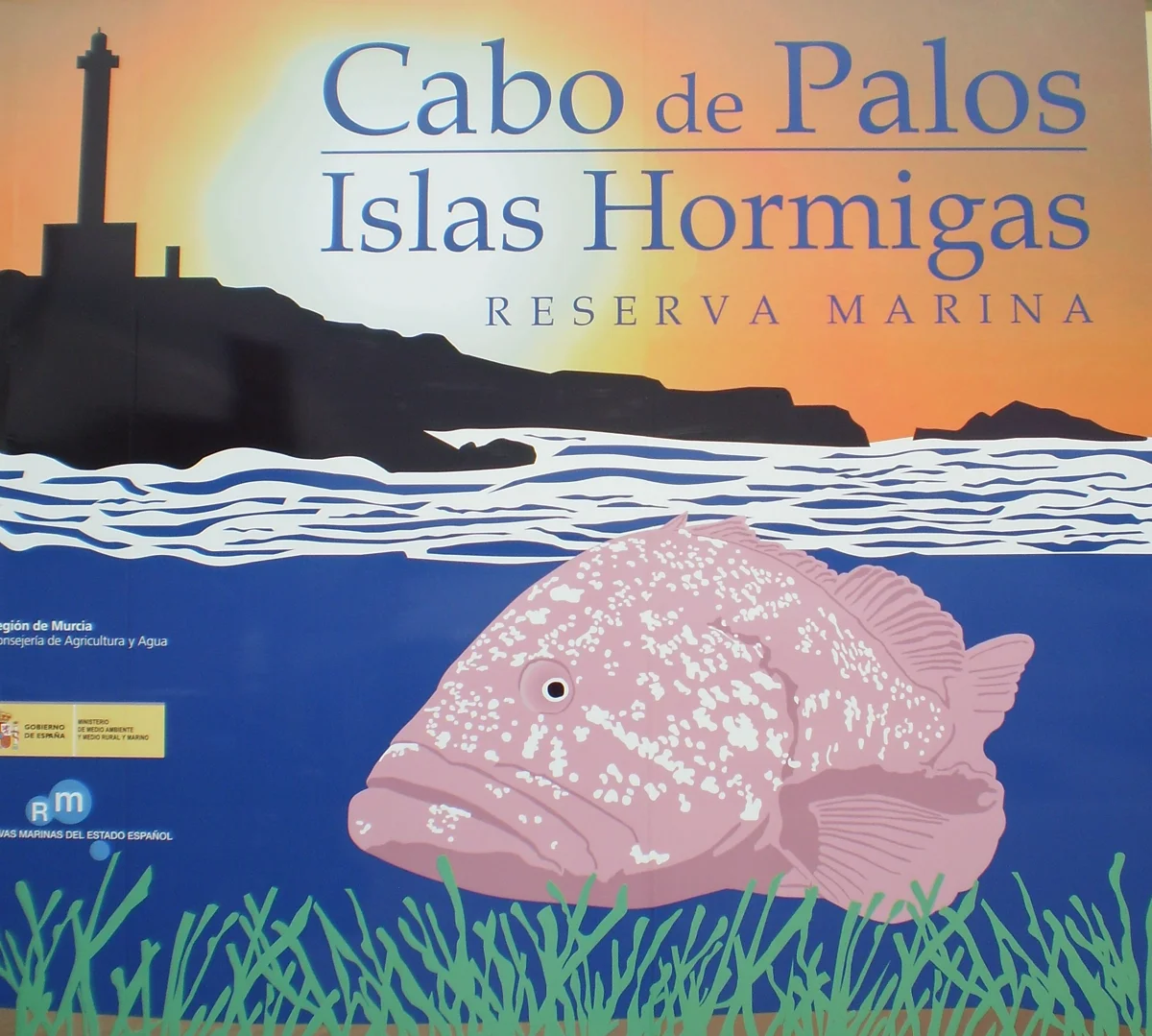 Immerse yourself in the underwater world!