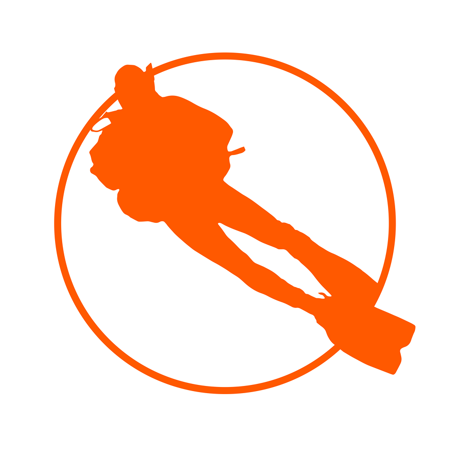 DIVERTYSUB ( BCN Y LLORET DE MAR) logo