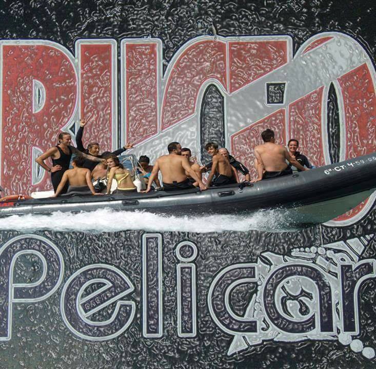 BUCEO PELICAR logo