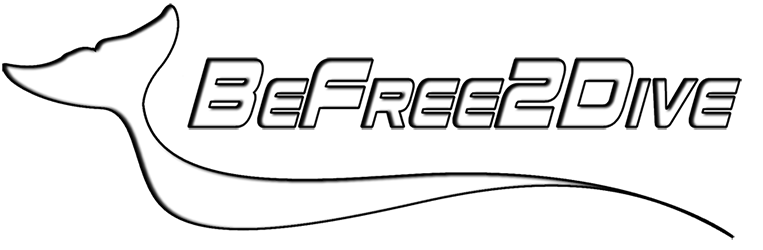 BeFreeToDive logo