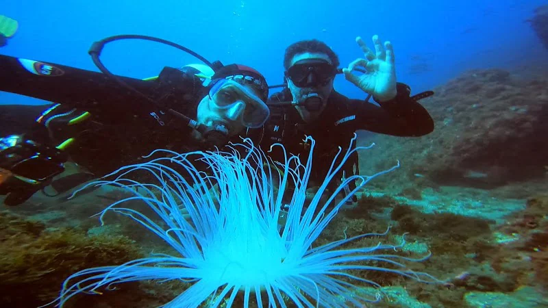 Buceo España La Herradura
