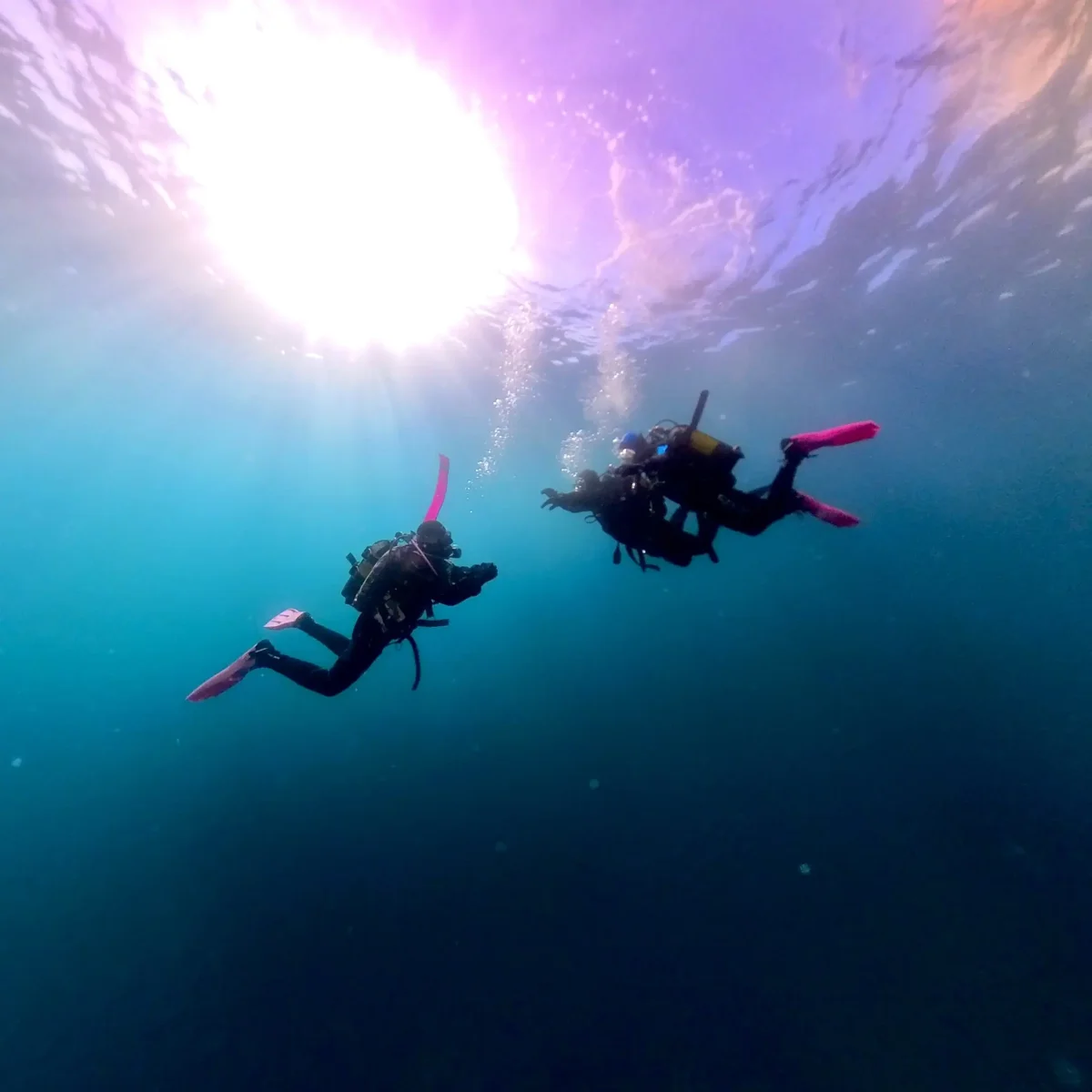 DIVE&DIVE Centre de Busseig