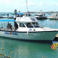 BAHIA SCUBA