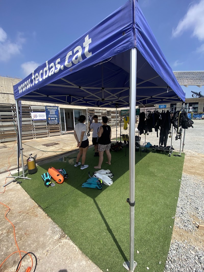FREEANDIVERS, escola de busseig i apnea a Barcelona Fòrum