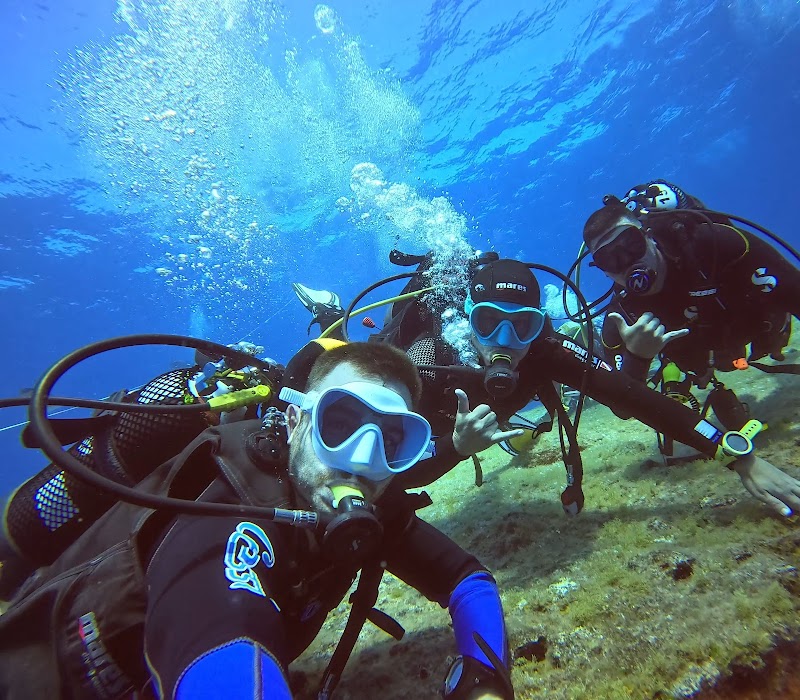 Centro de Buceo El Hierro logo