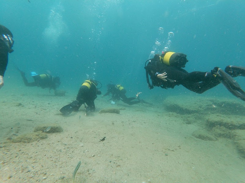 Barcelona Diving logo