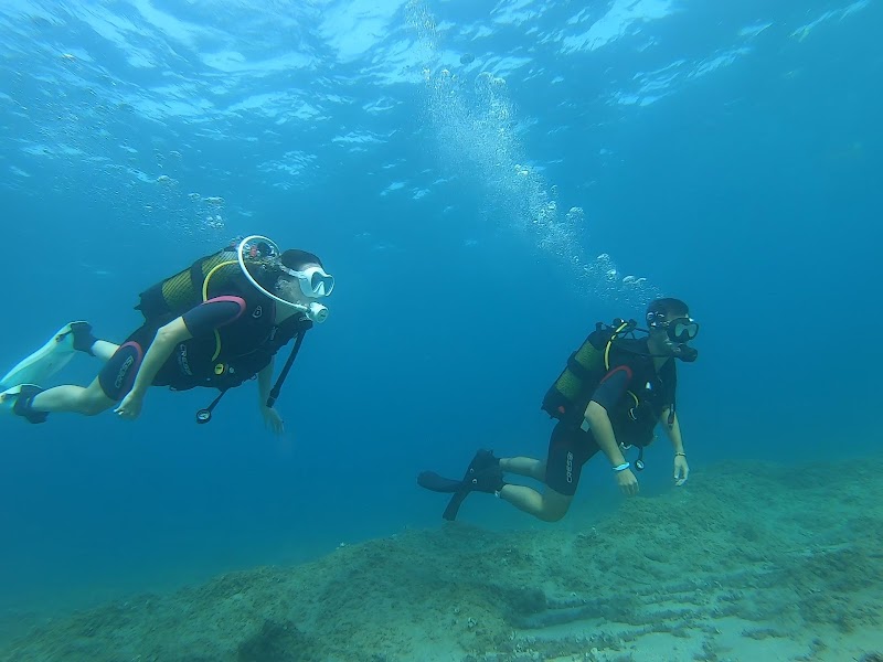 DSDivers Cambrils logo