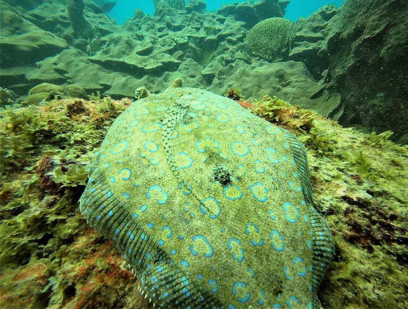 Foto 3