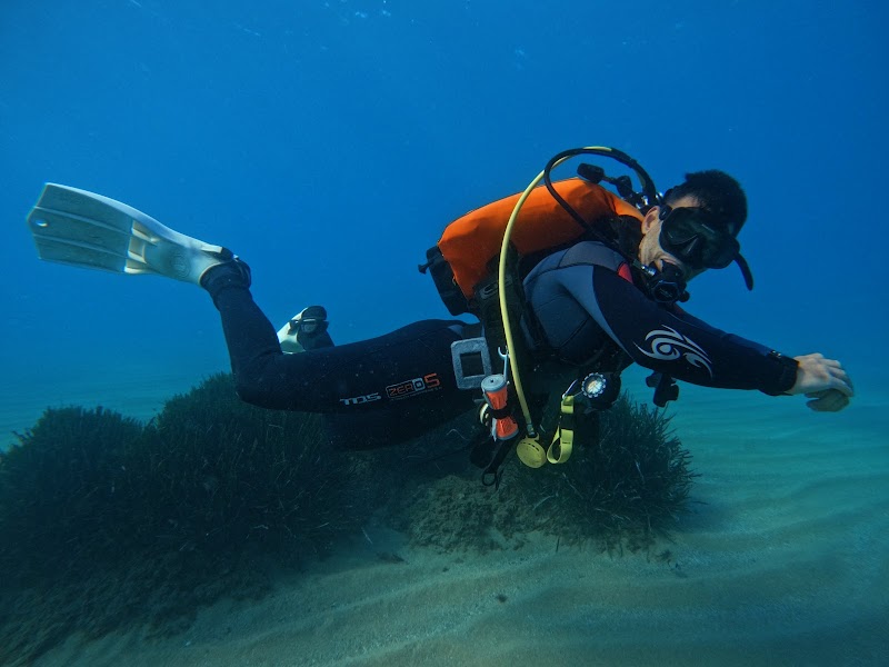 IDC Estartit - Cursos de Instructor PADI