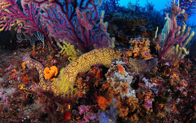 Foto 3
