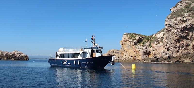 El Rei del Mar Diving Center logo